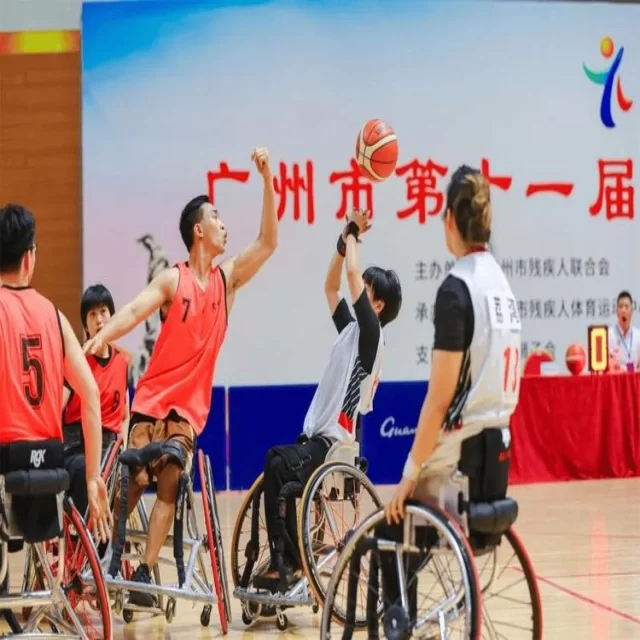 乒乓球冠军竞争格局的深度分析与数据启示