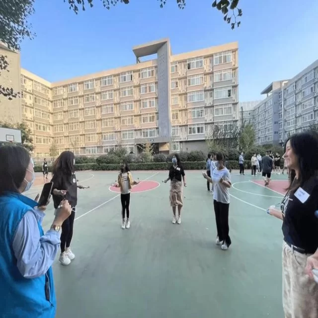 第345组赛程视角下国际赛场最新动态解析